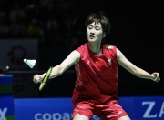 开云官方app入口-关于丹麦队逆转印尼队，陈雨菲惊艳四座的信息