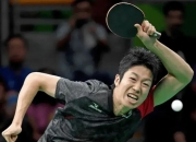 开云官方app入口-法国乒乓球队力克日本乒乓球队，水谷隼高光表现的简单介绍