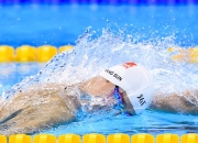 开云体育app-德甲争冠白热化，快船碾压步行者显统治力—双线战场的激情与策略