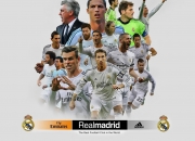 开云足球直播-绿茵与球台的跨界回响，当意甲焦点战遇见上海队决胜火箭