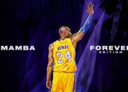 开云体育入口-迪亚斯独舞美加墨之夜，当存在感成为绿茵场上的唯一光