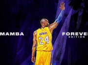 开云体育入口-迪亚斯独舞美加墨之夜，当存在感成为绿茵场上的唯一光