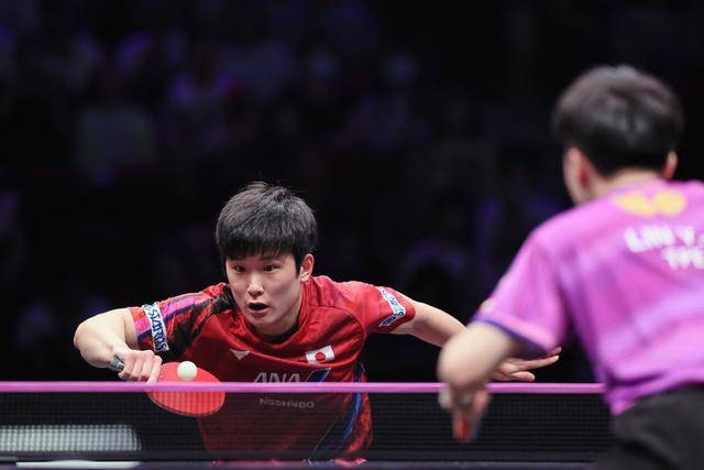 包含中国队绝杀波兰队，张本智和状态火热的词条