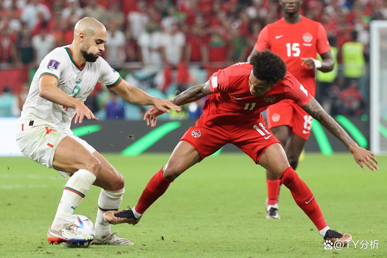 加拿大选手突围夺冠，实力无人可敌的简单介绍