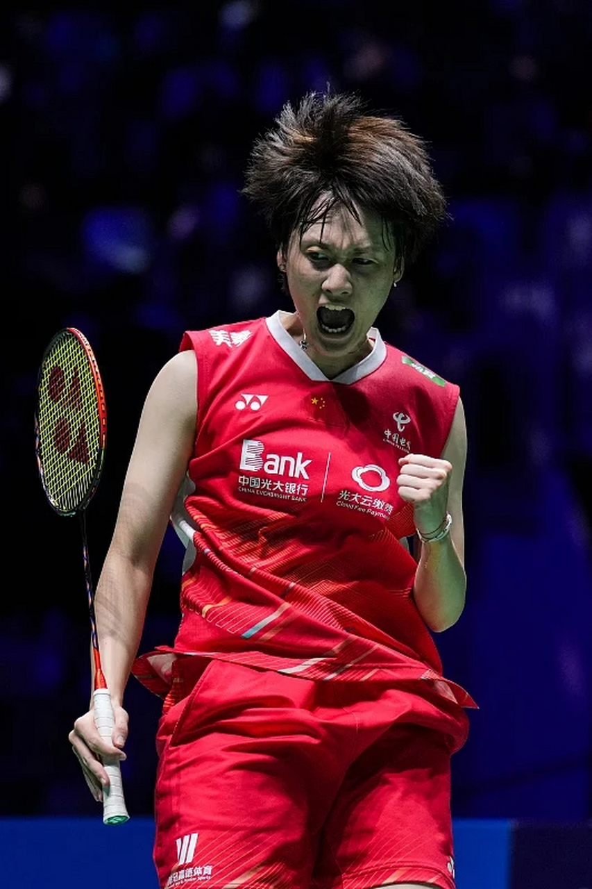 包含法国羽毛球队力克日本羽毛球队，陶菲克高光表现的词条