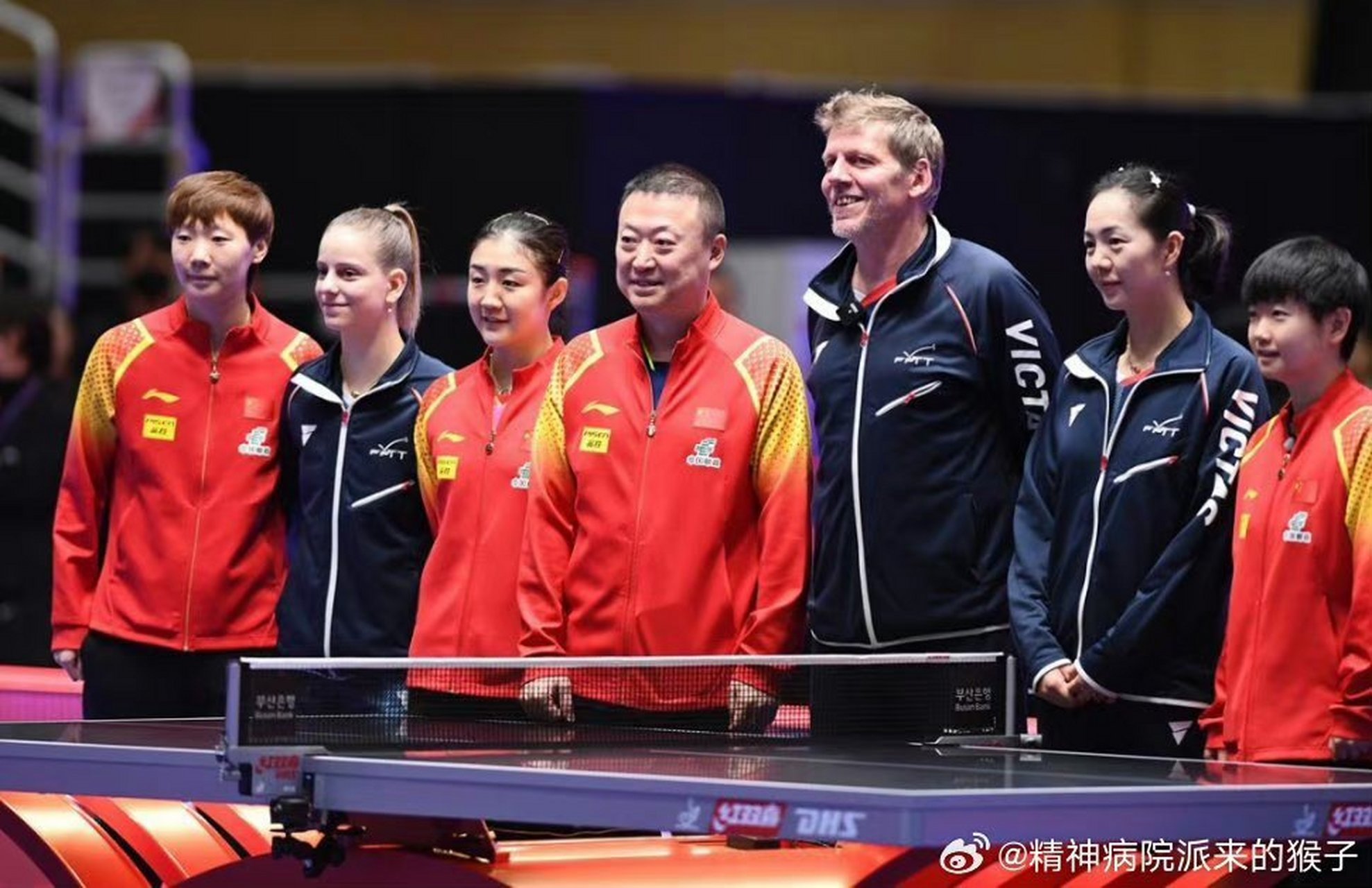 法国队险胜德国队，马琳统治全场的简单介绍