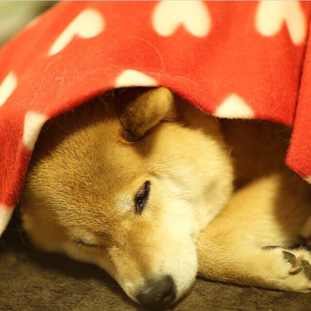 跨界奇迹，卡马文加NBA总决赛接管比赛，贝蒂斯击败比利亚雷亚尔背后的赢家思维