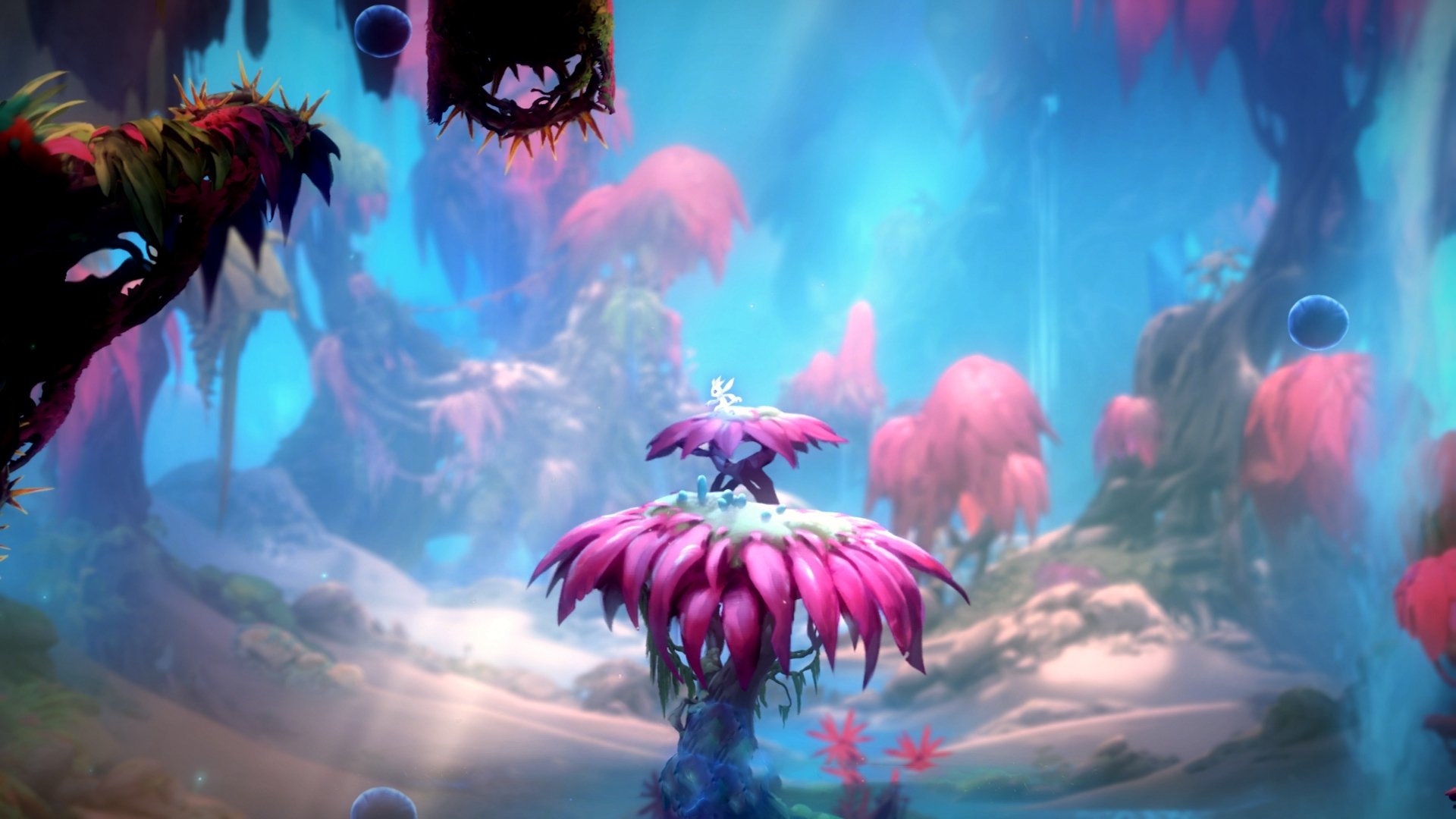 总决赛烽火，土耳其争冠战启示录，拜仁式坚韧如何照亮NBA舞台？